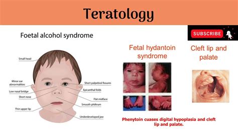 Teratology .